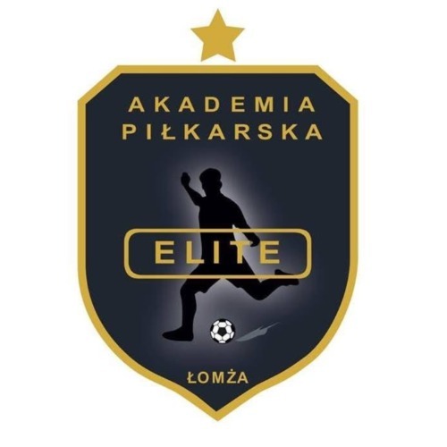 AP Elite logo